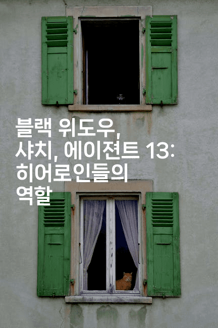 블랙 위도우, 샤치, 에이젼트 13: 히어로인들의 역할