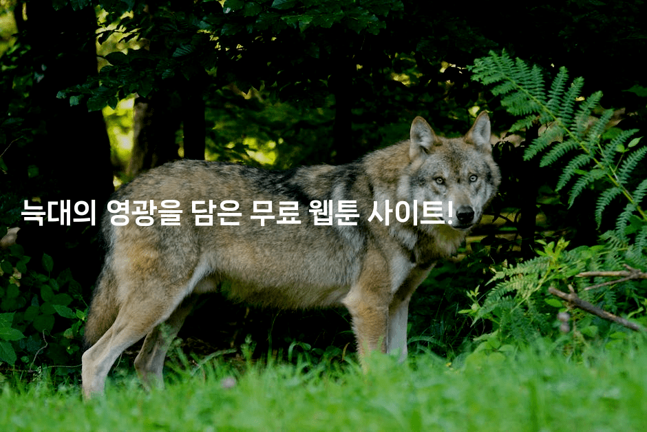 늑대의 영광을 담은 무료 웹툰 사이트!-마블마루