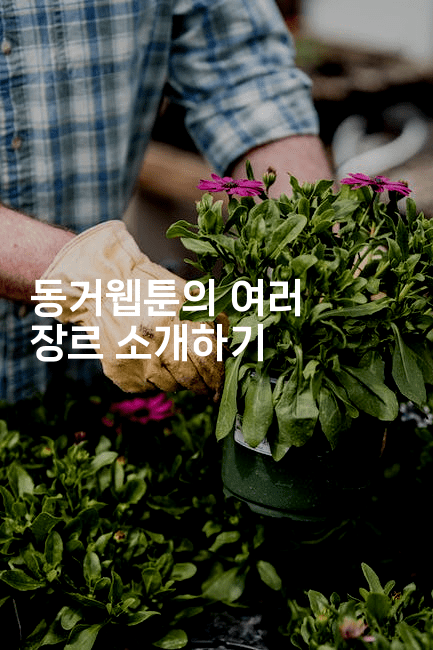 동거웹툰의 여러 장르 소개하기 2-마블마루