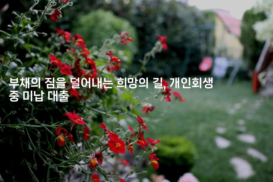 부채의 짐을 덜어내는 희망의 길, 개인회생 중 미납 대출