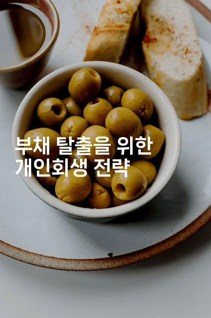 부채 탈출을 위한 개인회생 전략-마블마루