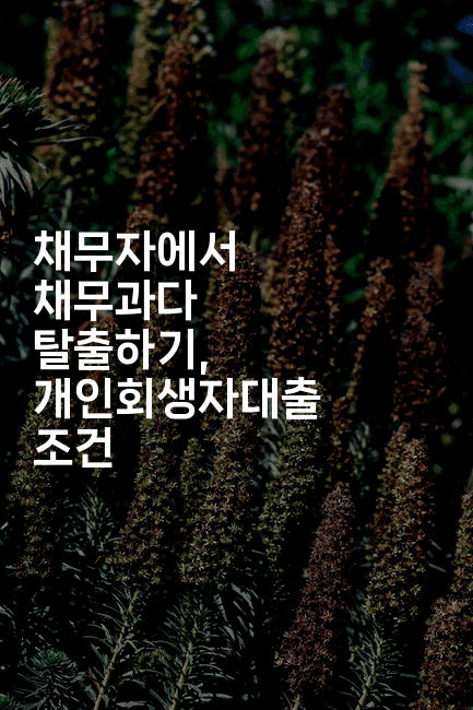 채무자에서 채무과다 탈출하기, 개인회생자대출 조건-마블마루