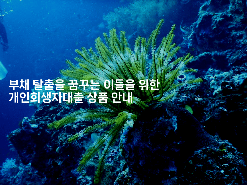 부채 탈출을 꿈꾸는 이들을 위한 개인회생자대출 상품 안내-마블마루