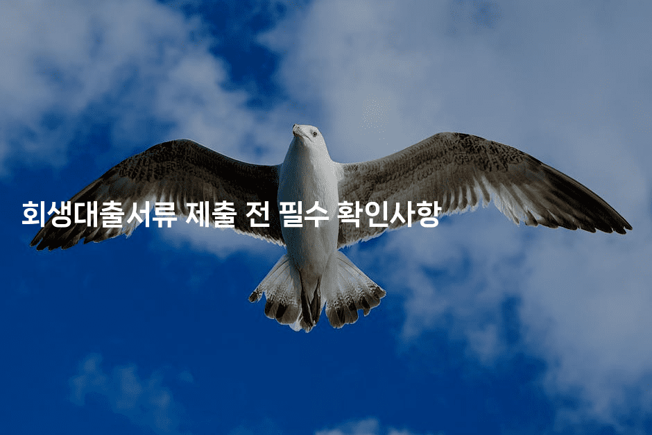 회생대출서류 제출 전 필수 확인사항-마블마루